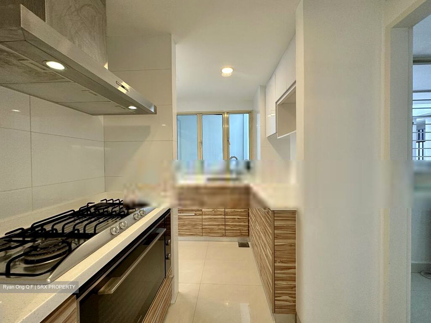 Parc Palais (D21), Condominium #412003911